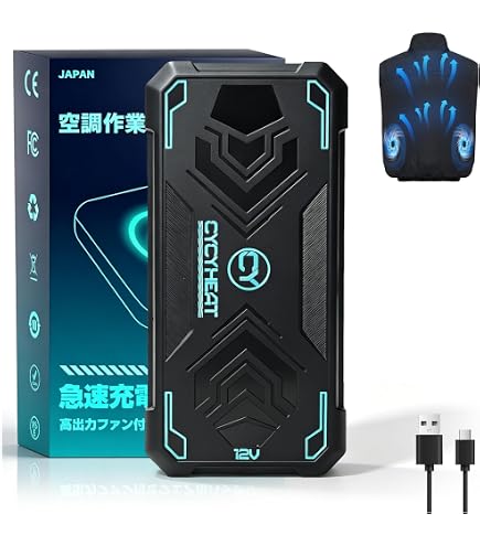 Amazon.co.jp: RD9890J リフレッシュ バッテリー サンエス 12V お